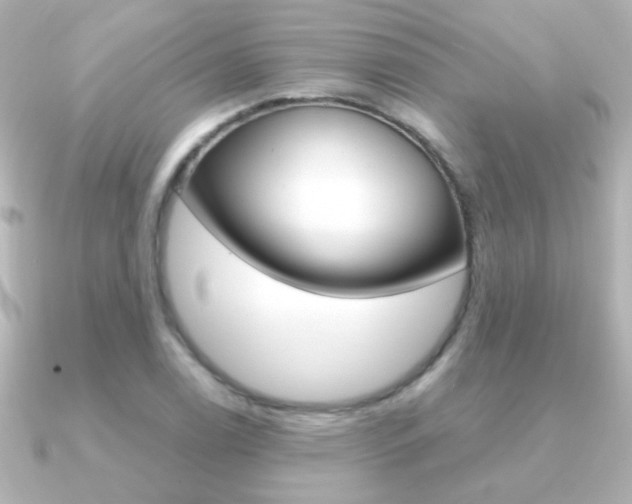 X0000091201122200708091035