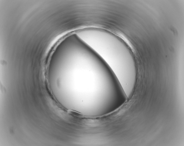 X0000091201124200708091035