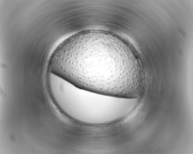 X0000091201125200708091035