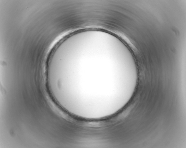 X0000091201126200708091035