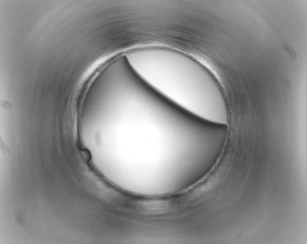 X0000091201127200708091035