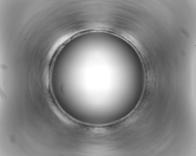 X0000091201128200708091035