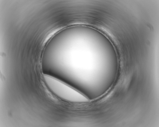 X0000091201129200708091035
