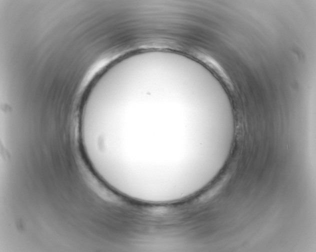 X0000091201130200708091035