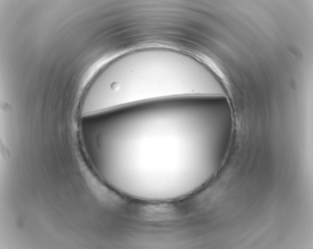 X0000091201133200708091035
