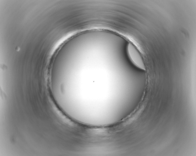 X0000091201134200708091035