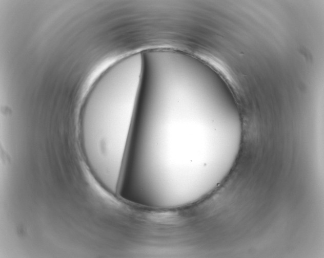 X0000091201135200708091035