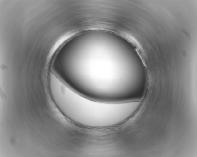 X0000091201138200708091035