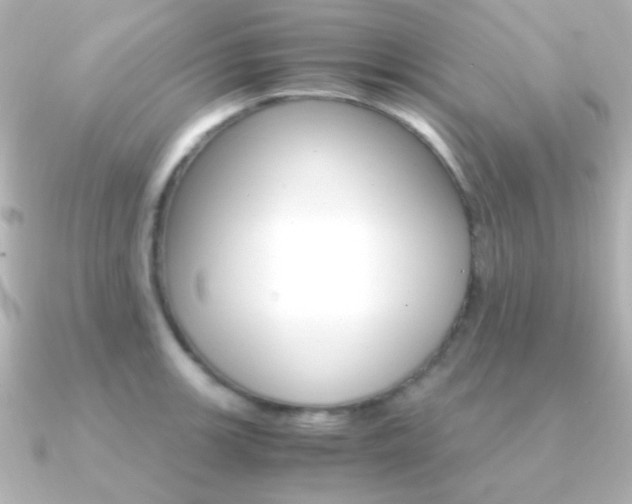 X0000091201139200708091035