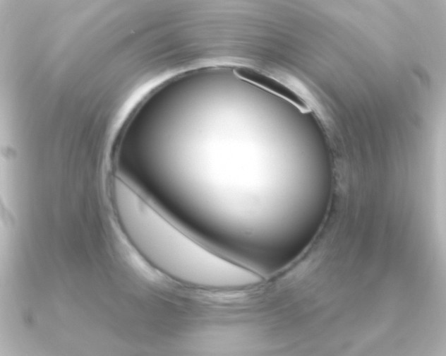 X0000091201140200708091035