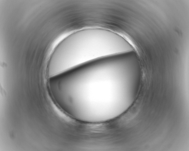 X0000091201143200708091035