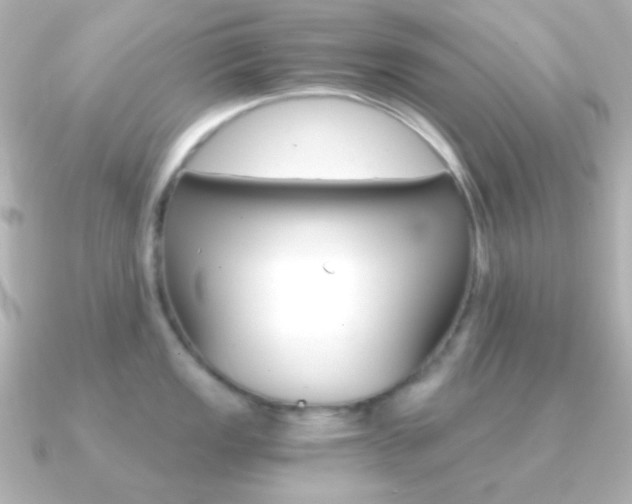 X0000091201149200708091035