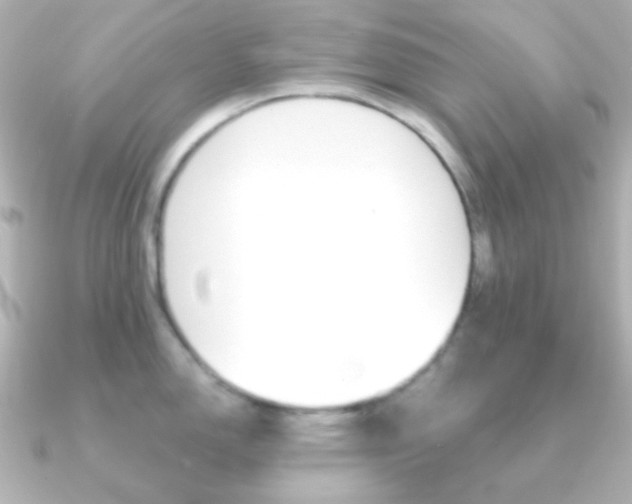 X0000091201150200708091035