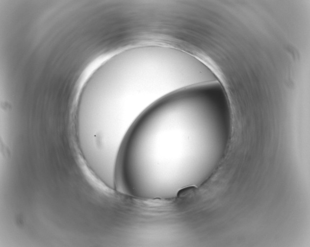 X0000091201152200708091035