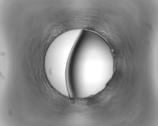X0000091201153200708091035