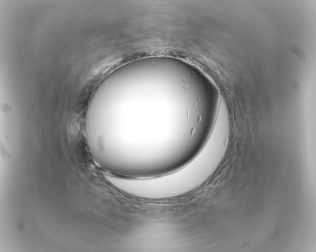 X0000091201157200708091035