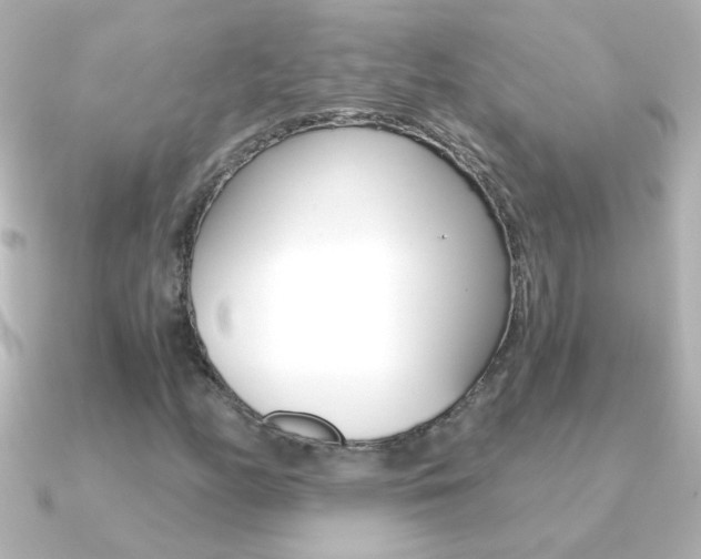 X0000091201158200708091035