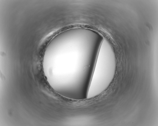 X0000091201159200708091035