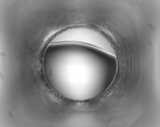 X0000091201160200708091035