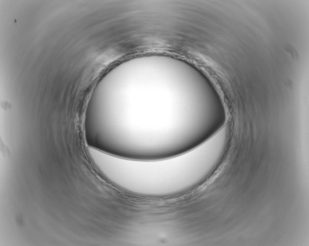 X0000091201161200708091035