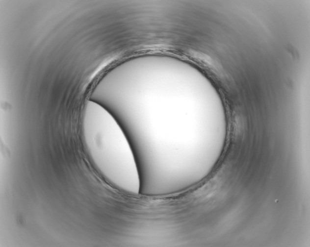 X0000091201162200708091035