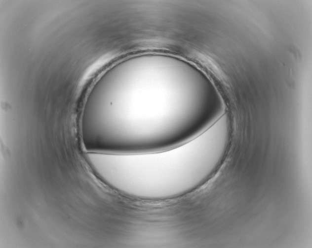 X0000091201164200708091035