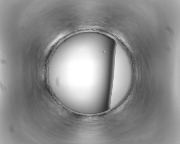 X0000091201165200708091035