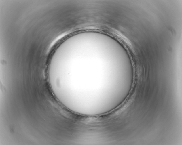 X0000091201166200708091035