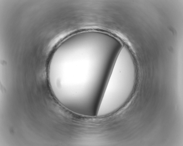 X0000091201167200708091035