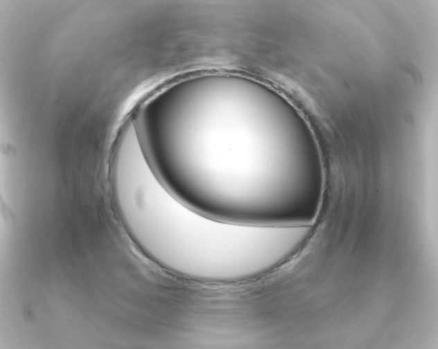 X0000091201168200708091035