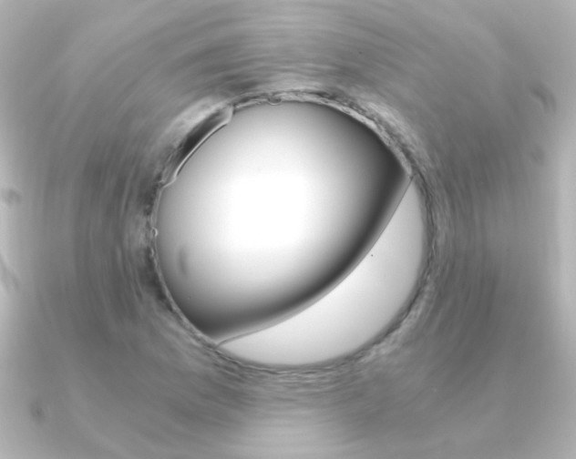 X0000091201169200708091035