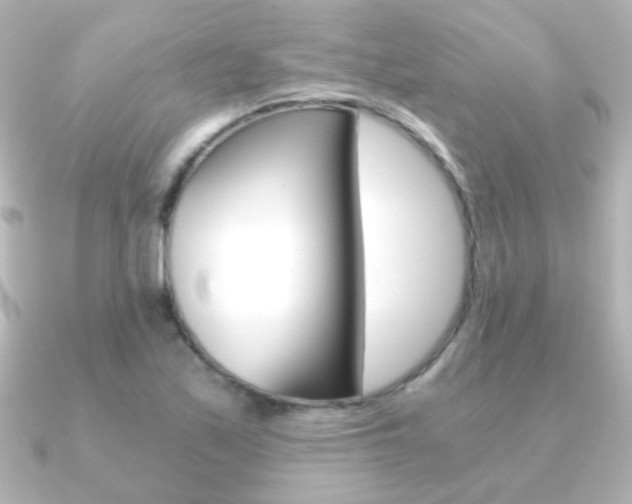 X0000091201171200708091035
