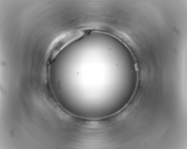 X0000091201172200708091035