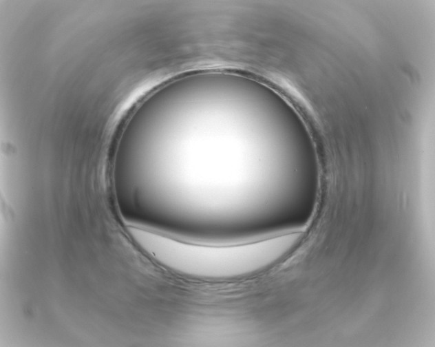 X0000091201173200708091035