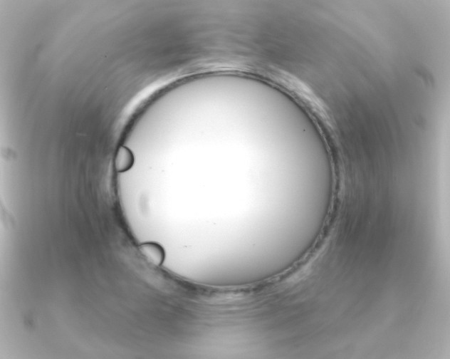 X0000091201174200708091035