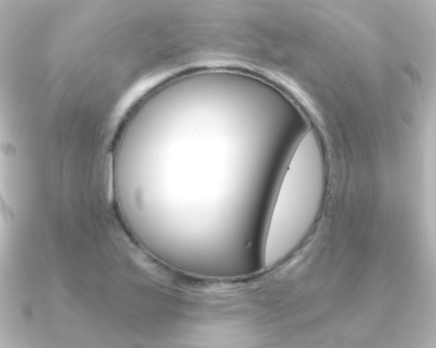 X0000091201175200708091035
