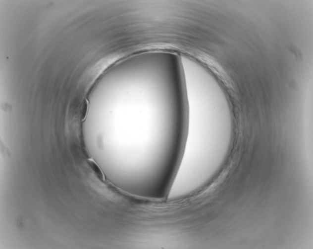 X0000091201177200708091035