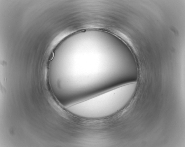 X0000091201179200708091034
