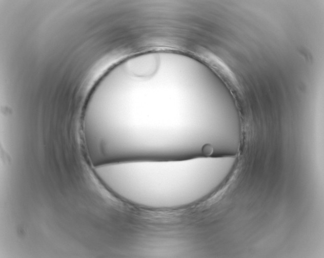 X0000091201182200708091034