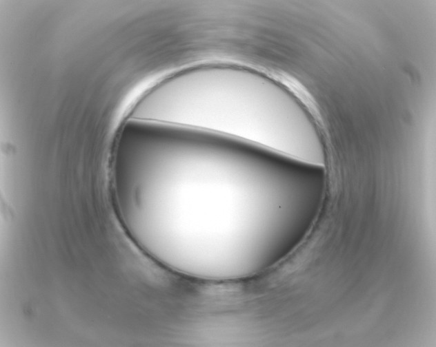 X0000091201183200708091034