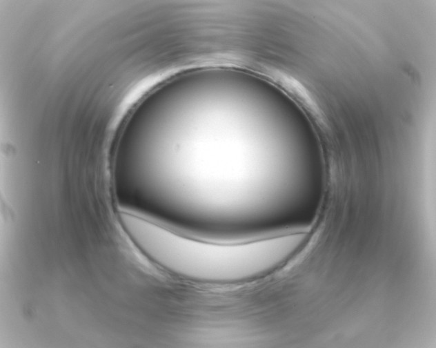 X0000091201184200708091034
