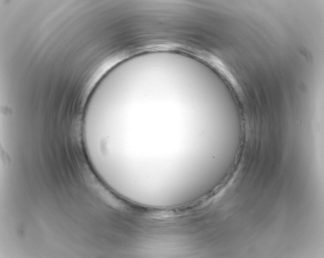 X0000091201186200708091034
