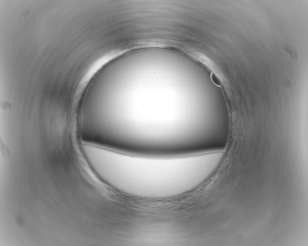 X0000091201187200708091034