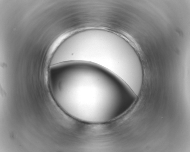 X0000091201188200708091034