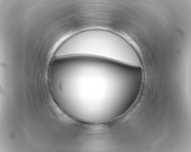X0000091201189200708091034