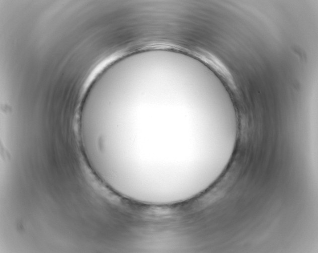 X0000091201190200708091034