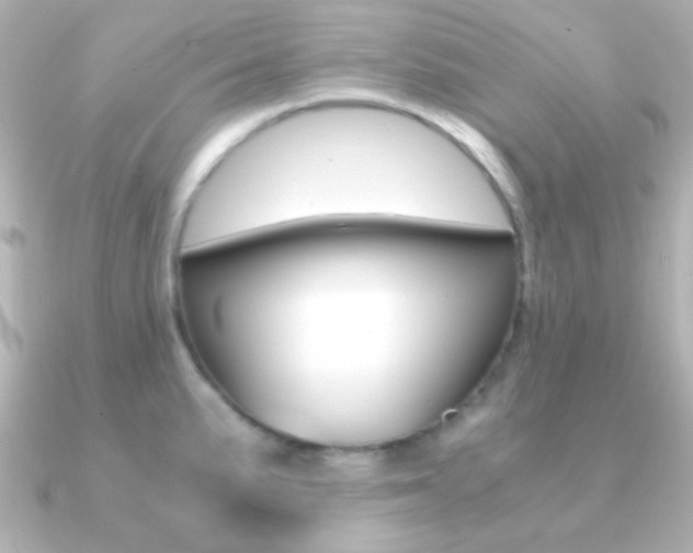 X0000091201191200708091034