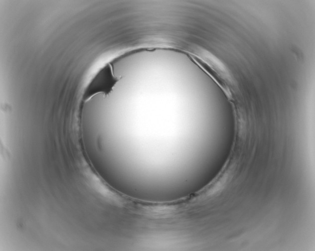 X0000091201192200708091034