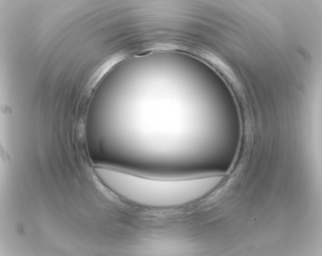 X0000091201193200708091034