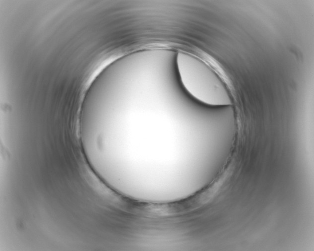 X0000091201194200708091034